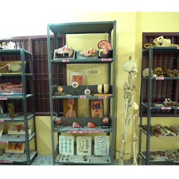 B.sc Nursing Colleges In Chennai