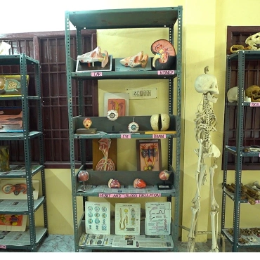 B.sc Nursing Colleges In Chennai
